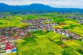 最新消息！南鄭區(qū)確定為2023中國(guó)最美油菜花海漢中旅游文化節(jié)主會(huì)場(chǎng)縮略圖