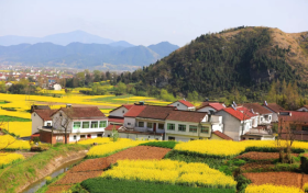 2023中國最美油菜花海漢中旅游文化節(jié)將于3月中旬開幕！縮略圖