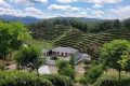張騫故里茶飄香縮略圖