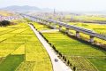 開往春天的列車！西安去漢中高鐵8分鐘一趟 說走就走縮略圖