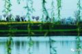 冷空氣今晚抵達！陜西局地氣溫將降6-8℃縮略圖