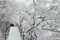 下雪了！漢中好多地方下雪了！縮略圖