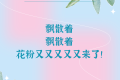 花粉季又又又又又來了，“過敏星人”怎樣度過？縮略圖