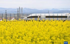為期半年！即日起陜西將開展全省旅游市場價格專項檢查縮略圖