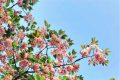 升溫！升溫！漢中向30℃發(fā)起進(jìn)擊！縮略圖