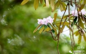 春游前，這份急救指南請(qǐng)先收好！縮略圖