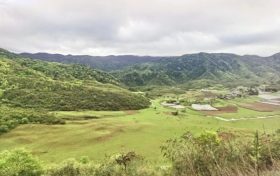夏天來了，起居、飲食、運(yùn)動(dòng)有講究縮略圖
