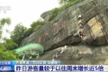 五一假期開局火爆 哪些消費呈現(xiàn)出強勁勢頭？縮略圖
