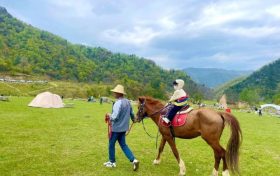 留壩避暑游持續(xù)升溫，帶火了“夏日經(jīng)濟(jì)”縮略圖