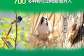 野豬正式調(diào)出“三有”名錄！專(zhuān)家：不代表可以隨意捕殺縮略圖