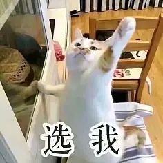 快來隨手拍城固，贏2000元大獎！