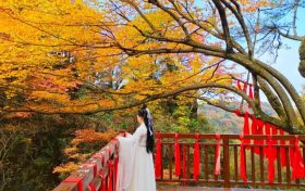 登山賞秋，漢江源馬上迎來第一波浪漫秋色!縮略圖
