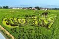 喜報！城固入選國家級創(chuàng)建單位名單縮略圖