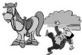 騎馬游玩致游客摔傷，誰(shuí)來(lái)?yè)?dān)責(zé)？縮略圖