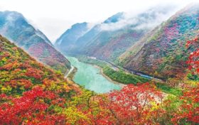 不負(fù)美景不負(fù)秋！不管你去不去，這份秋日攻“略”都值得收藏！縮略圖