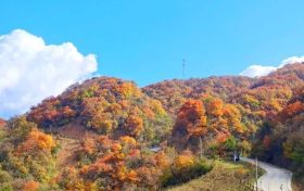 又是一年彩林季，漢江源彩林搶先看~縮略圖