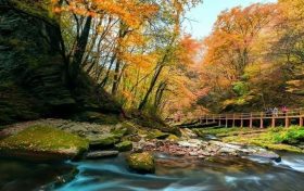 重磅！漢中這家4A景區(qū)全民免門票！縮略圖