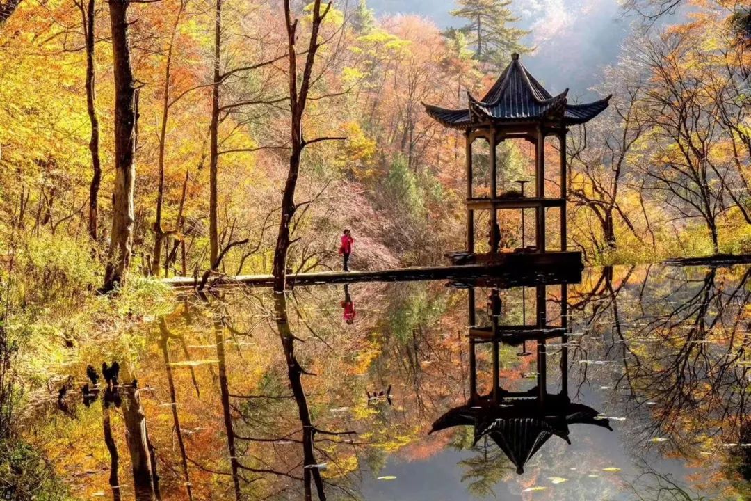 10月1日，漢中黎坪景區(qū)秋高氣爽、景色秀美，還不擁擠，趕緊出發(fā)嘍！