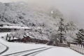 就在今天，陜西太白山又下雪了！縮略圖