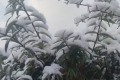 強(qiáng)風(fēng)雨天氣來(lái)襲，24日正式進(jìn)入霜降節(jié)氣縮略圖