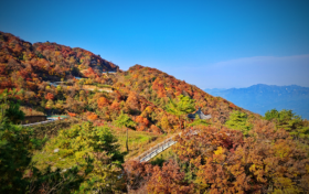 已經(jīng)紅了，快來漢江源看彩林！縮略圖