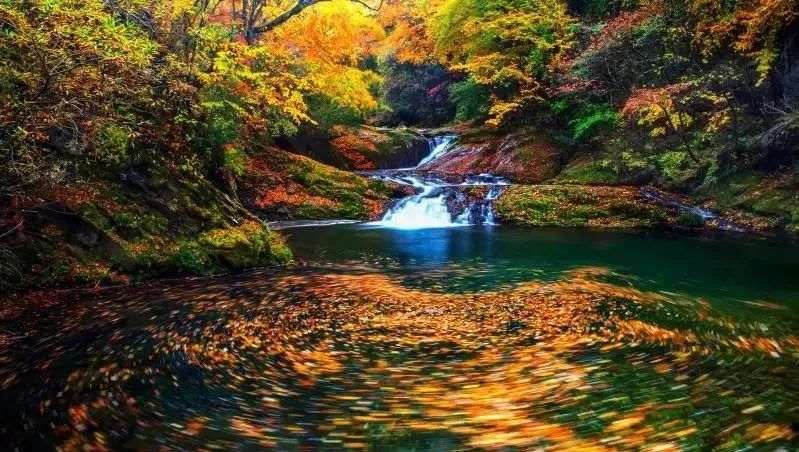 10月1日，漢中黎坪景區(qū)秋高氣爽、景色秀美，還不擁擠，趕緊出發(fā)嘍！
