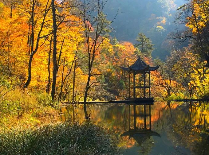 重磅！漢中這家4A景區(qū)全民免門票！