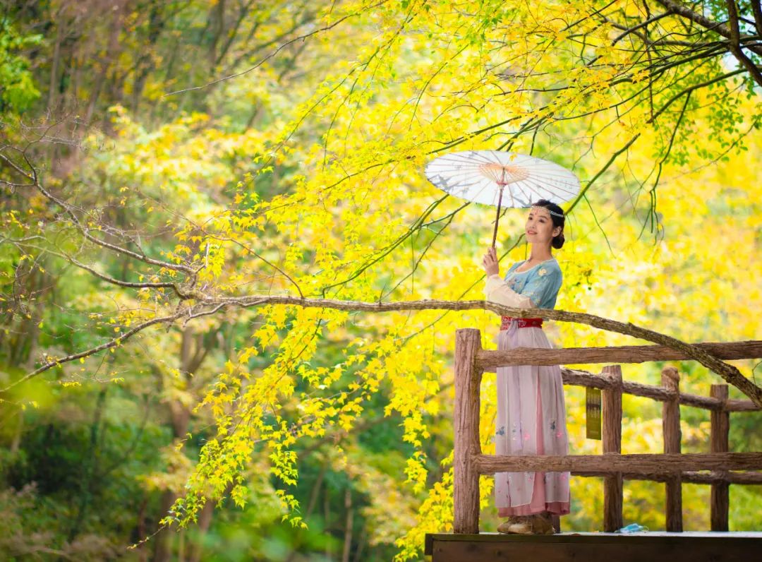 10月1日，漢中黎坪景區(qū)秋高氣爽、景色秀美，還不擁擠，趕緊出發(fā)嘍！