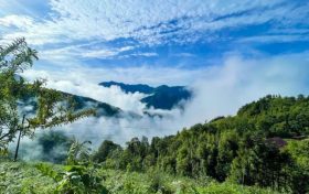 鎮(zhèn)巴最新出游打卡地，讓你心動(dòng)又驚喜!縮略圖