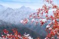 天冷不穿秋褲會凍出關節(jié)炎？醫(yī)生：關節(jié)炎不是“凍”出來的但秋褲該穿還得穿縮略圖