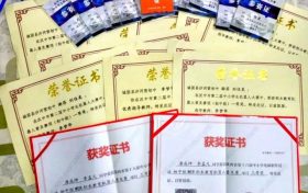 優(yōu)秀！城固縣兩名學(xué)生喜獲世界機(jī)器人大賽國(guó)賽二等獎(jiǎng) →縮略圖