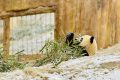漢中多地下雪了，陜西氣象最新發(fā)布→縮略圖