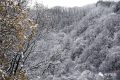雨雪天氣今晚就到！安全防御指南請收好→縮略圖