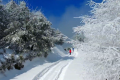 一場(chǎng)浪漫冬雪，讓鎮(zhèn)巴美出圈！縮略圖