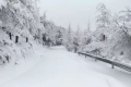 雨夾雪！小雪！小到中雪！漢中氣象發(fā)布黃色預(yù)警信號(hào)→縮略圖