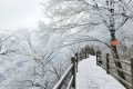 龍頭山今日又下雪啦，每一幀都是“限定浪漫”！縮略圖