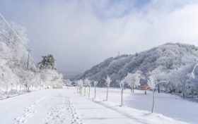 天冷了，吃點啥有助抗寒？縮略圖