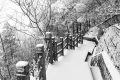 冷?冷?冷?，最低零下 6 ℃ ，漢臺迎來新一輪降溫降雪，詳情→縮略圖