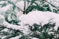 漢中，下雪啦！縮略圖