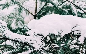 漢中，下雪啦！縮略圖