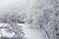 局地積雪可達(dá)10cm！冰雪路面如何安全行車？縮略圖