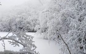 局地積雪可達(dá)10cm！冰雪路面如何安全行車？縮略圖