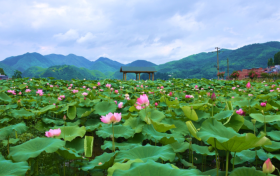 即將啟用監(jiān)控設(shè)備！設(shè)置地點(diǎn)→縮略圖