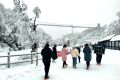 太美啦！漢江源景區(qū)下雪啦！滑雪場(chǎng)也即將開(kāi)放！縮略圖