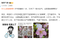 注意！陜西新一輪雨雪天氣要來了！縮略圖