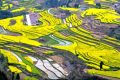 不負(fù)好春光！寧強(qiáng)這4條春季旅游線路快收藏！縮略圖