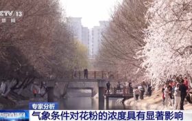 氣象條件對花粉濃度有哪些影響？花粉季要注意什么？專家解答縮略圖
