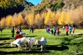 留壩入選“五一”最美鄉(xiāng)村旅游目的地！縮略圖