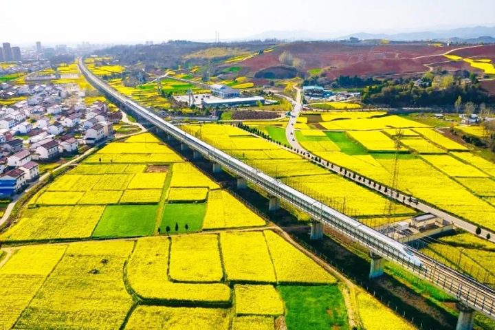 坐上高鐵去漢中，共赴一場(chǎng)浪漫之旅！插圖