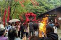抓住假期的尾巴，來漢中這里不負(fù)千里迢迢的旅程！縮略圖